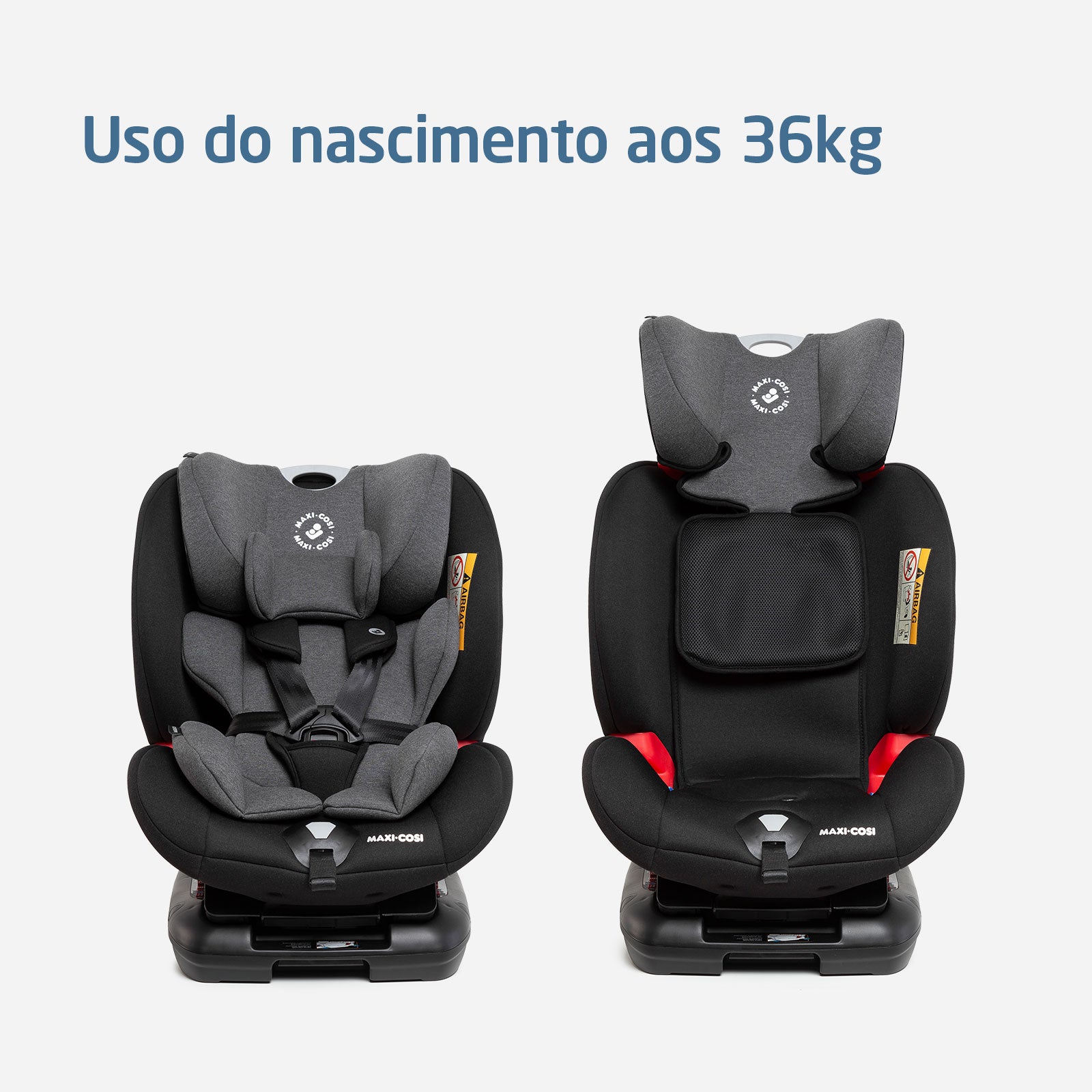 Authentic Black - IMP01982