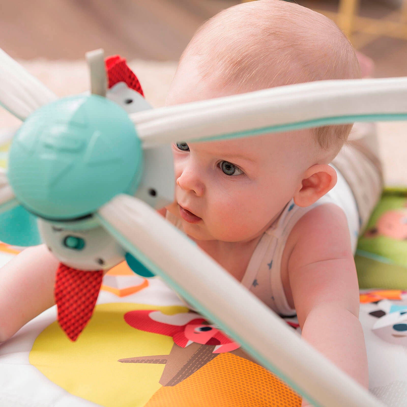 Into The Forest - IMP01564