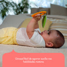 Meadow Days - IMP02398