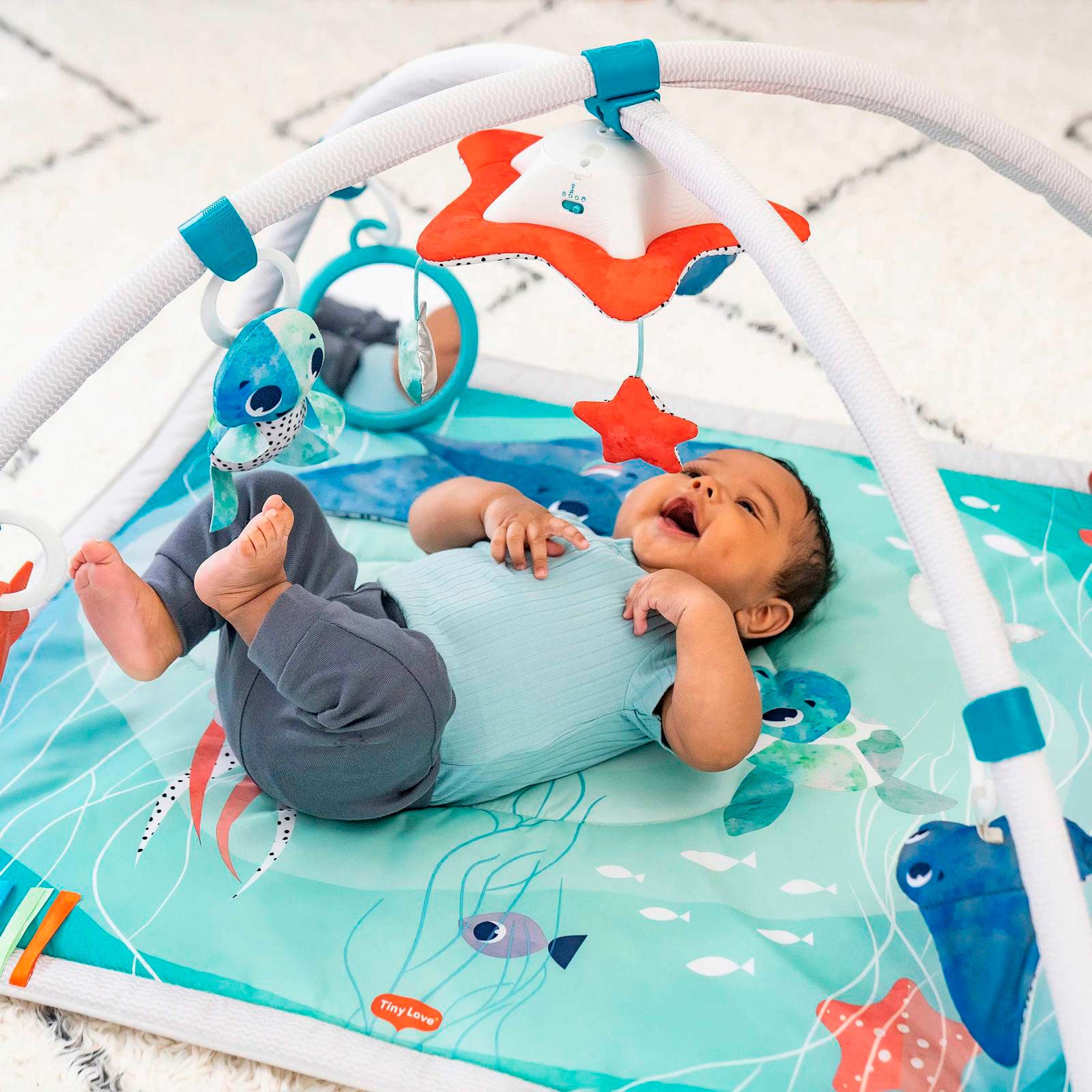 Treasure the Ocean - IMP02345