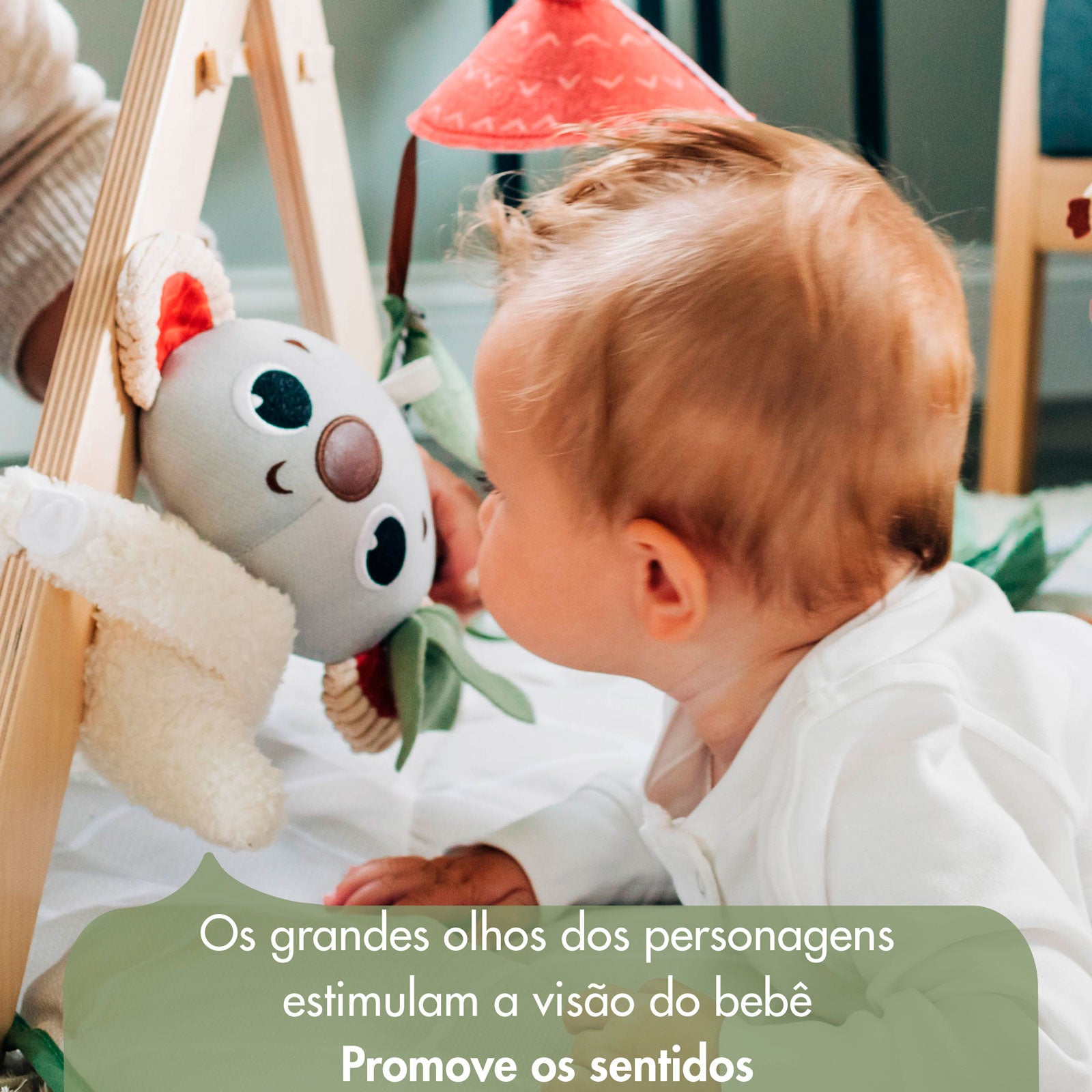 Boho Chic - IMP02265