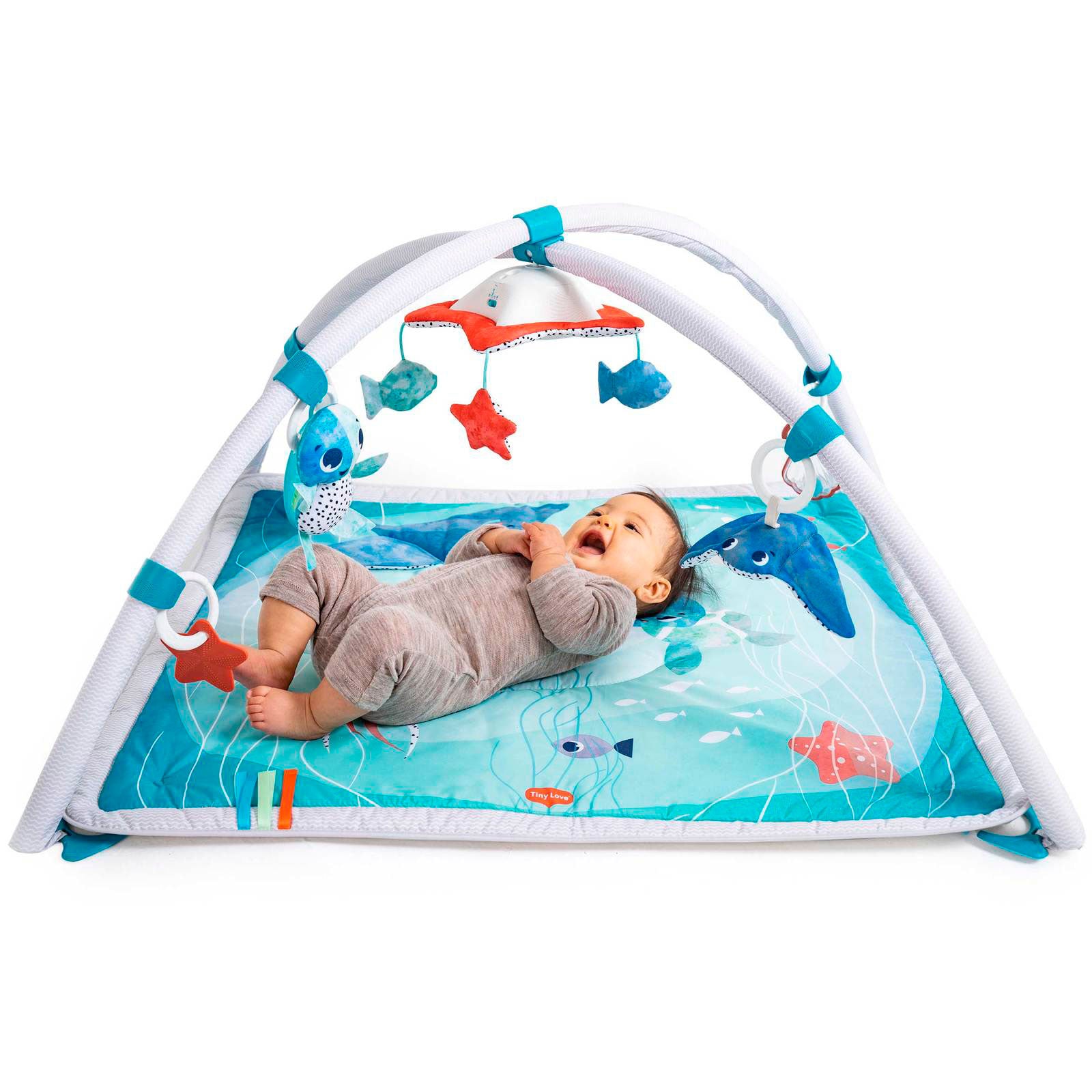 Treasure the Ocean - IMP02345