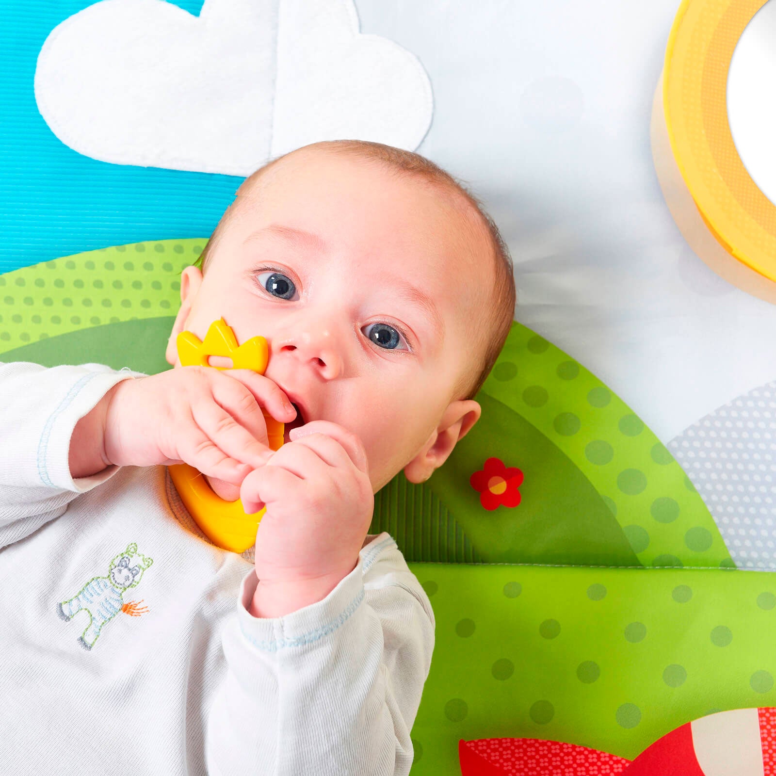 Meadow Days - IMP01570