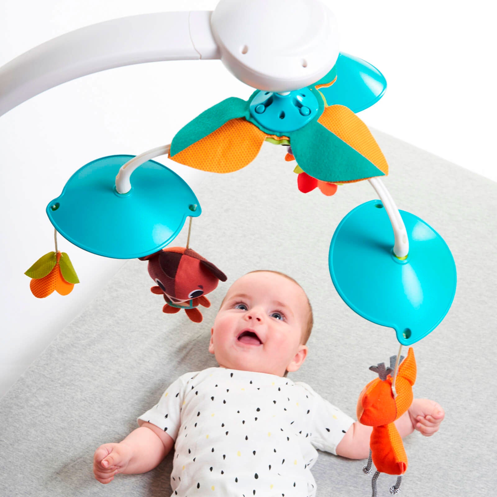 Into The Forest - IMP01596