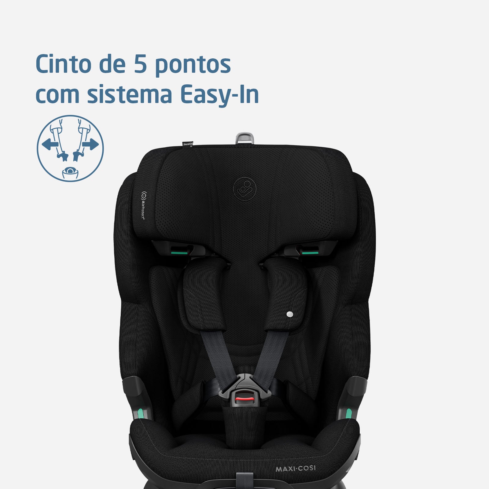 Authentic Black - IMP02655