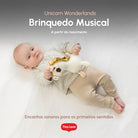 Wonderlands Collection - IMP02690