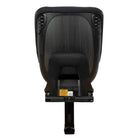 Authentic Black - IMP02497