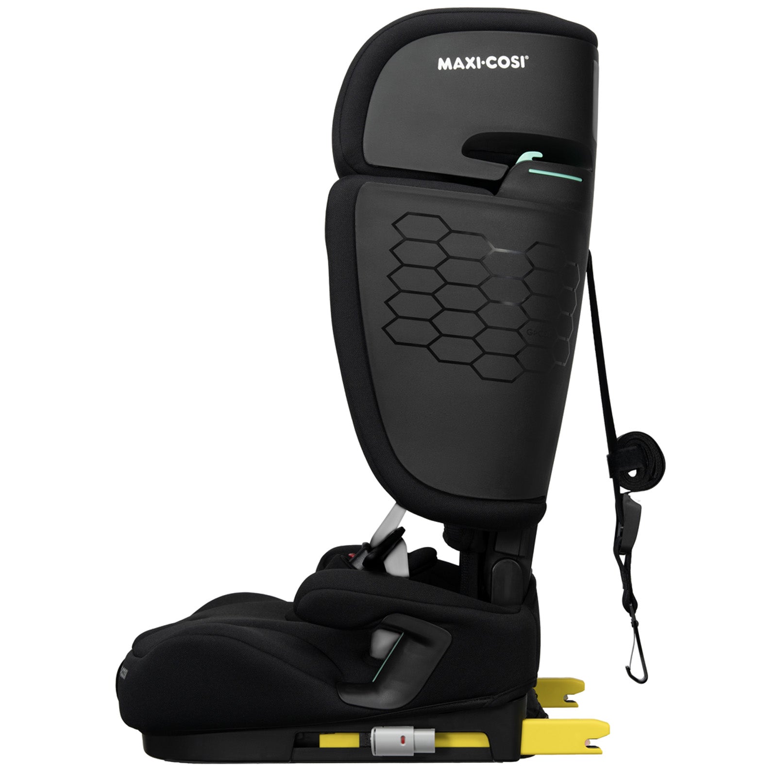 Authentic Black - IMP02710