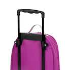 Safari Flamingo - IMP02560