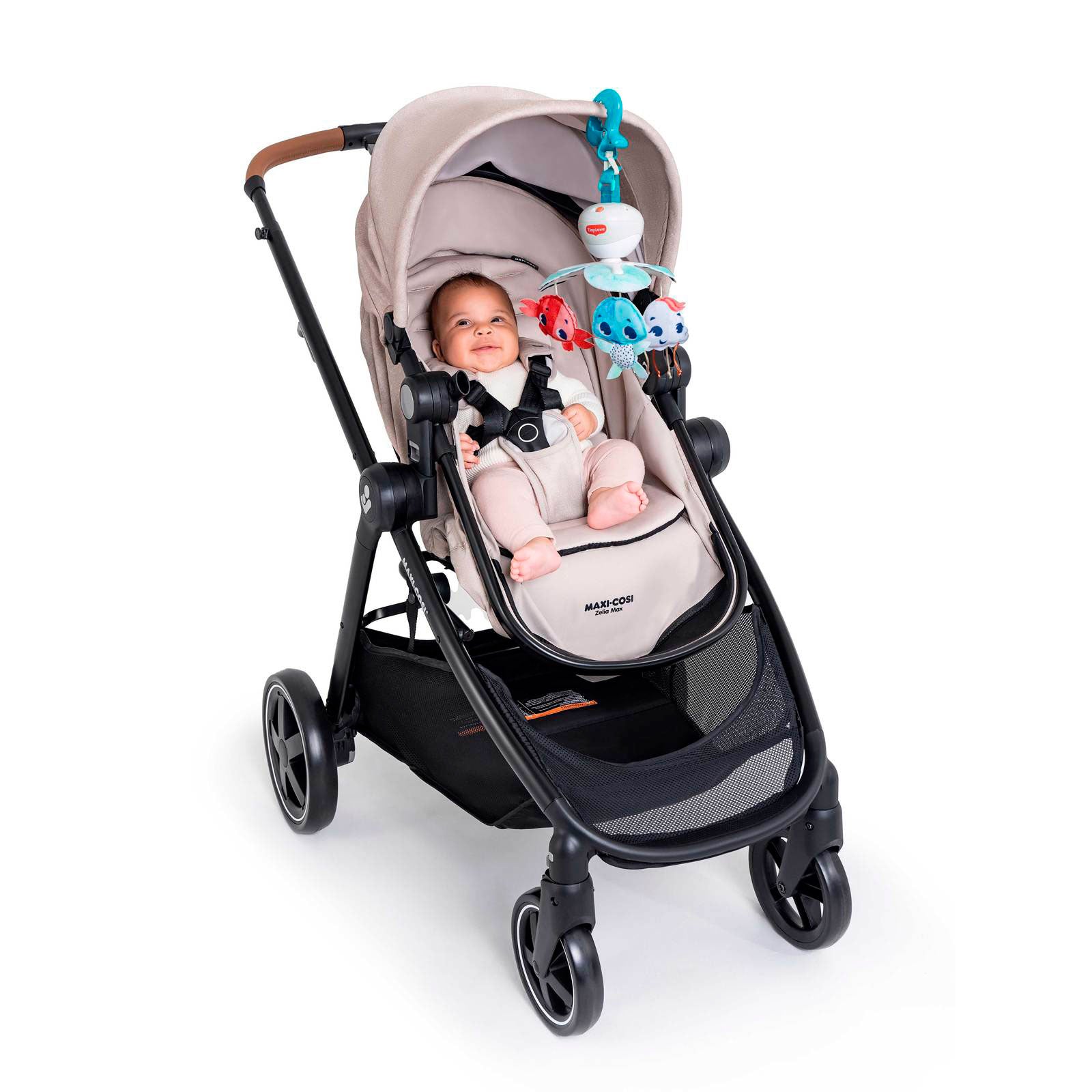 Treasure the Ocean - IMP02263