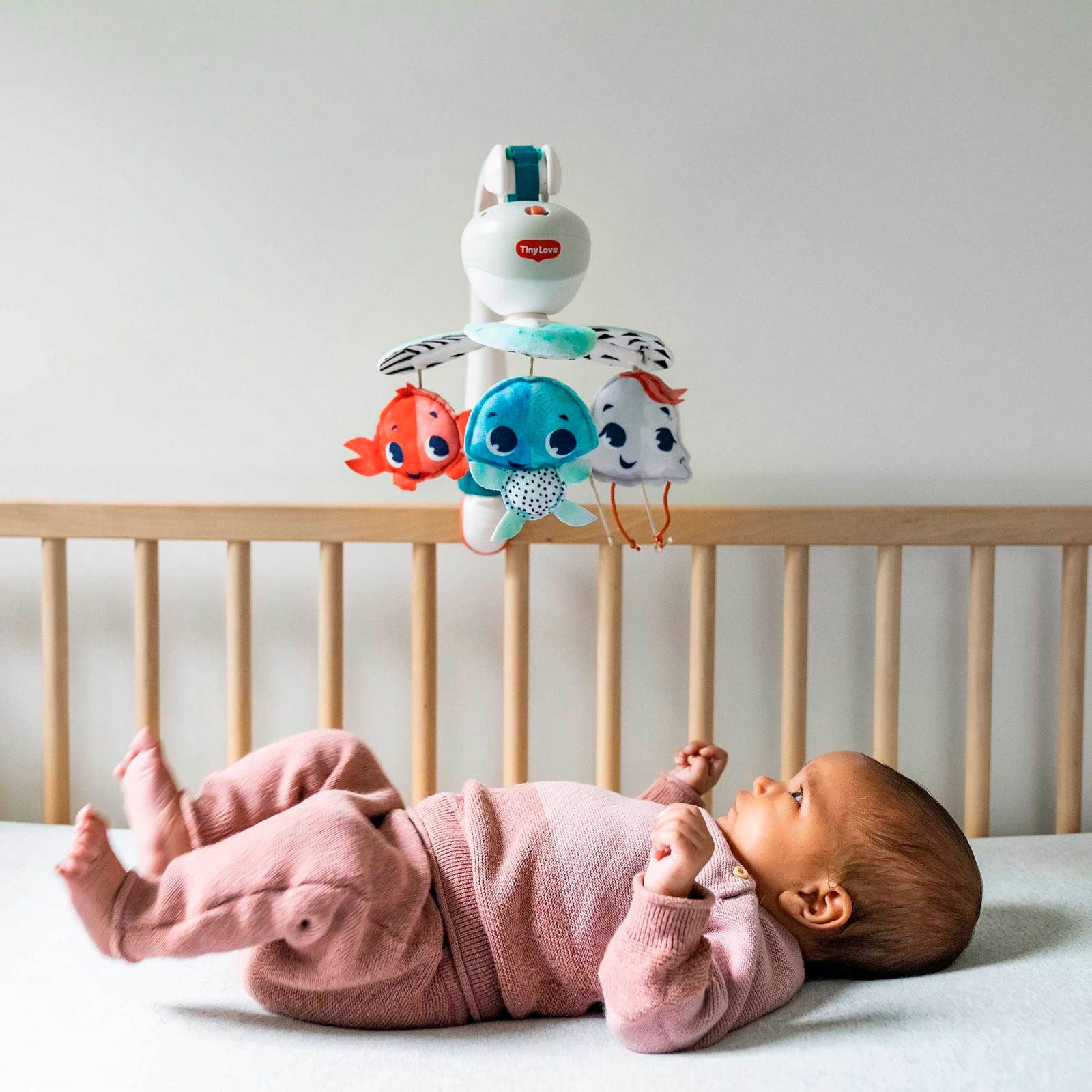 Treasure the Ocean - IMP02263