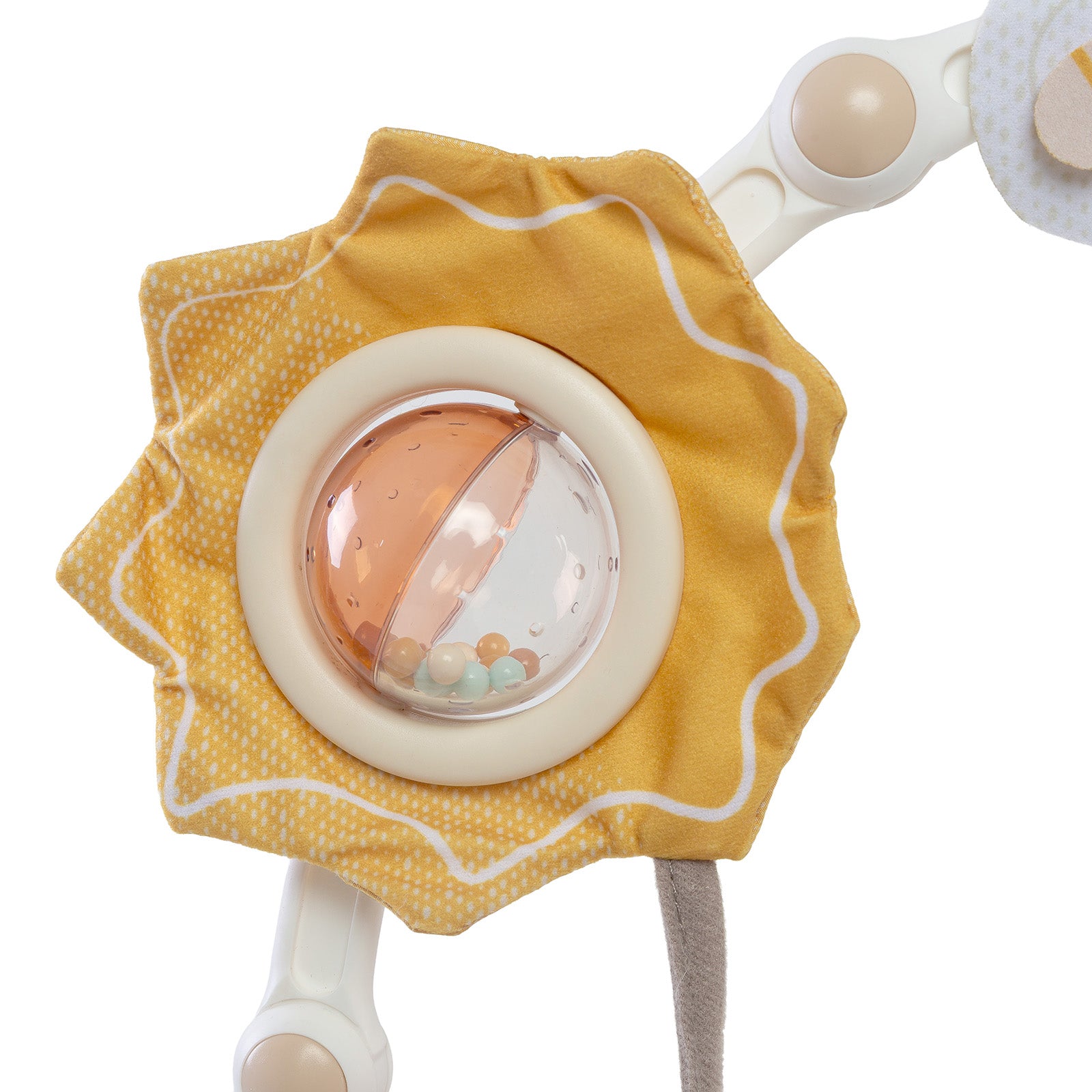 Wonderlands Collection - IMP02688