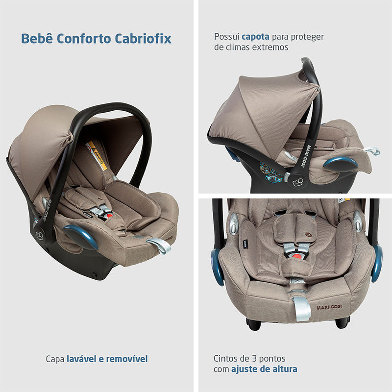 Twillic Truffle - CAX01067